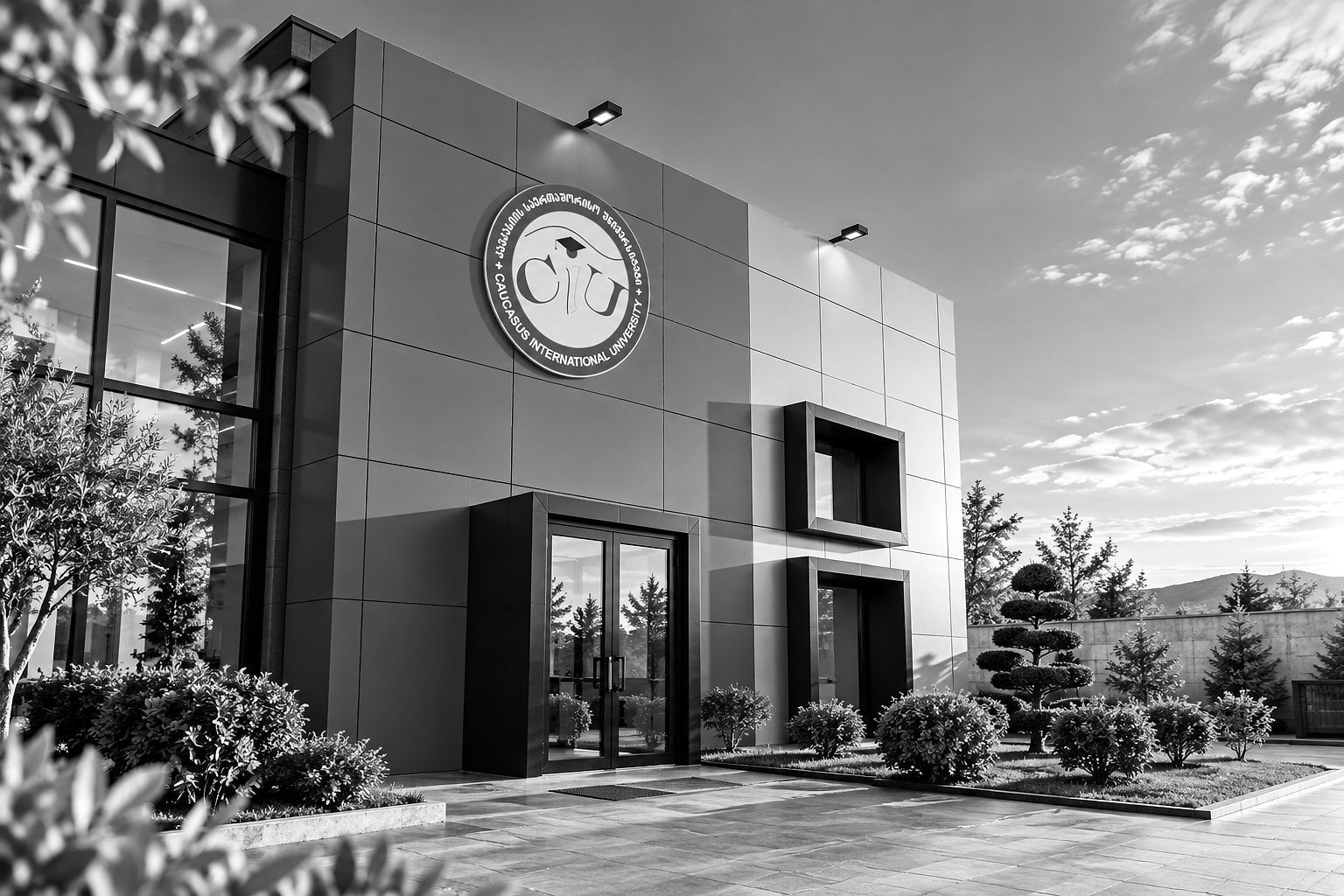 Caucasus International University
